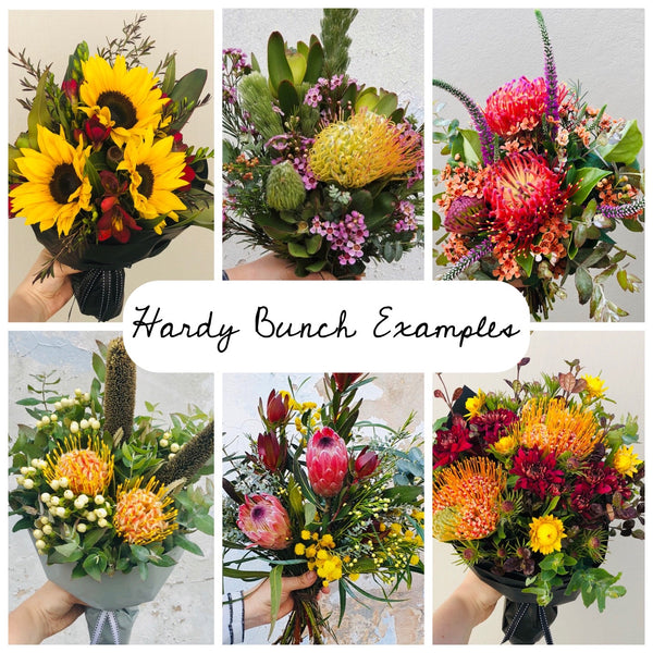 Hardy Bunch