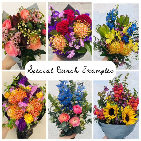 Special Bunch