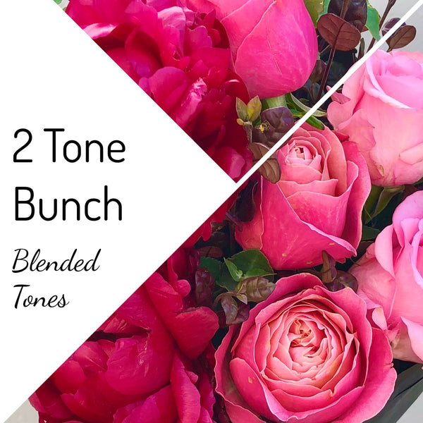 2 Tone Bunch