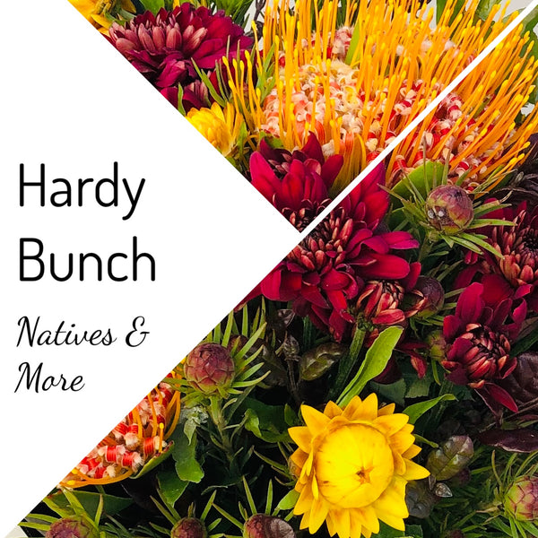 Hardy Bunch